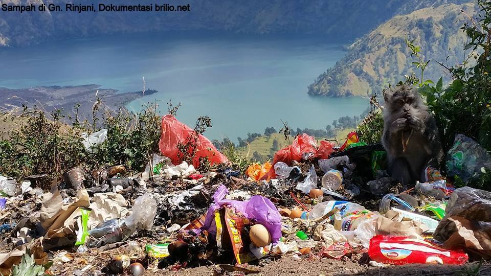 Segara Anak- Gn Rinjani _ Brilionet edited